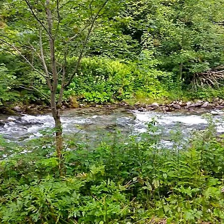 Bed & Breakfast Haus Silvia Kraml